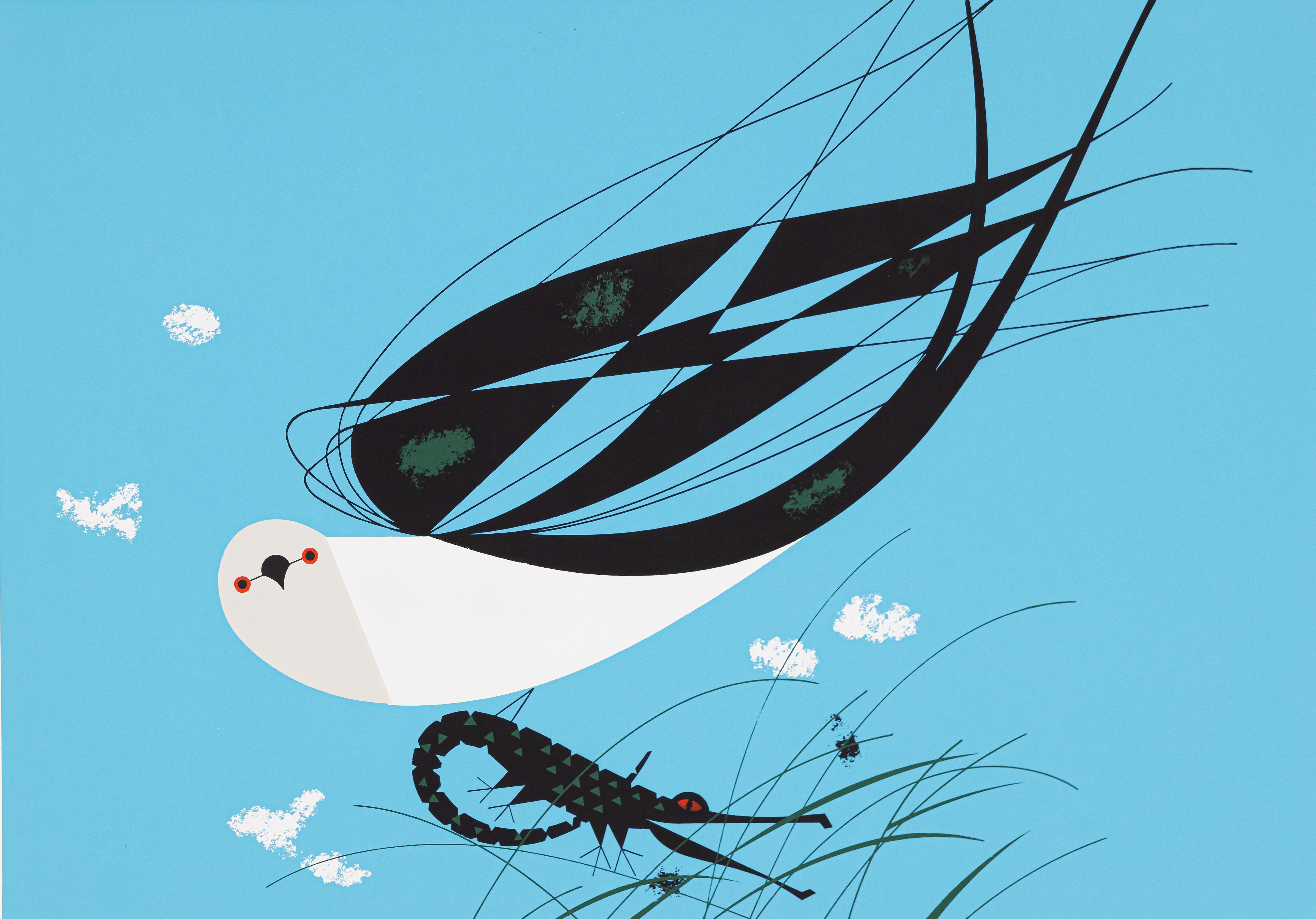 From 1954 to 1960, Harper illustrated 10 birds for each November issue of the magazine, including the swallow-tailed kite in 1958. 
